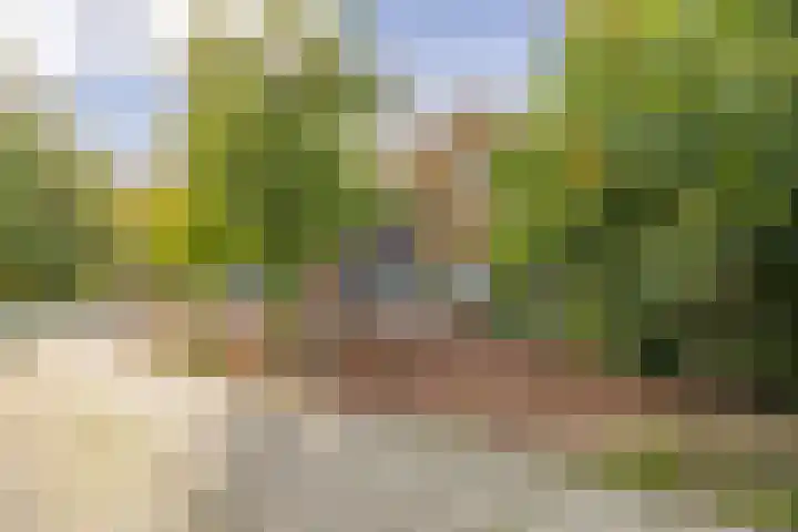 Noorderduinstraat 307 Almere thumbnail 54
