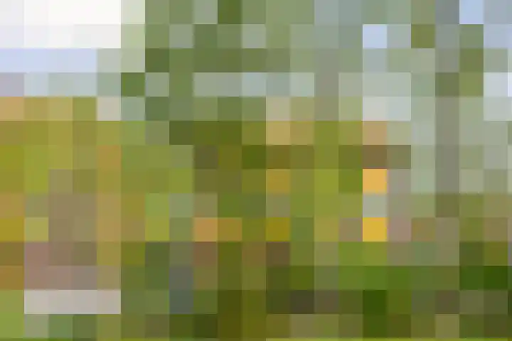 Noorderduinstraat 307 Almere thumbnail 55