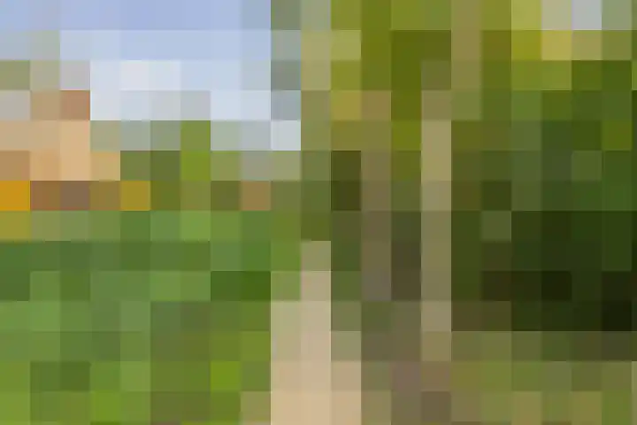 Noorderduinstraat 307 Almere thumbnail 57