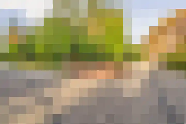 Noorderduinstraat 307 Almere thumbnail 58
