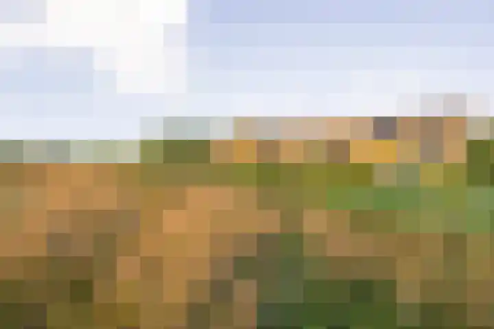 Noorderduinstraat 307 Almere thumbnail 59