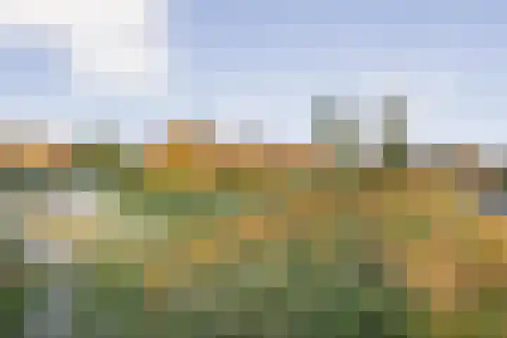 Noorderduinstraat 307 Almere thumbnail 60
