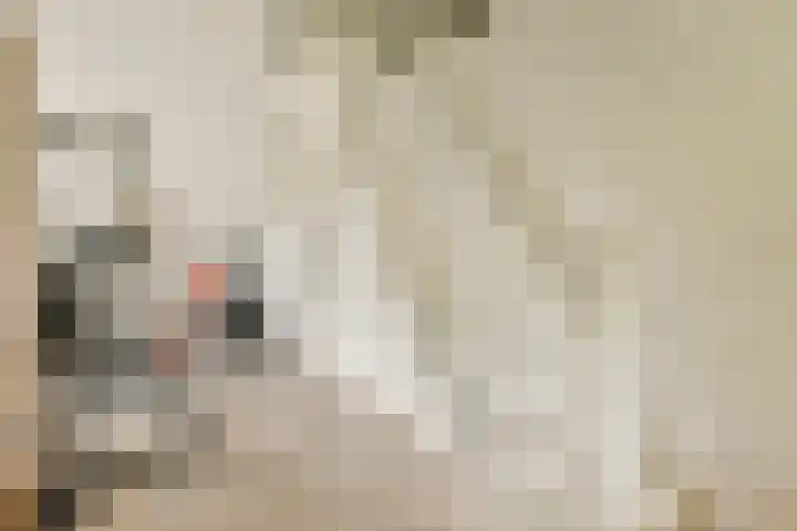 Noorderduinstraat 311 Almere thumbnail 34