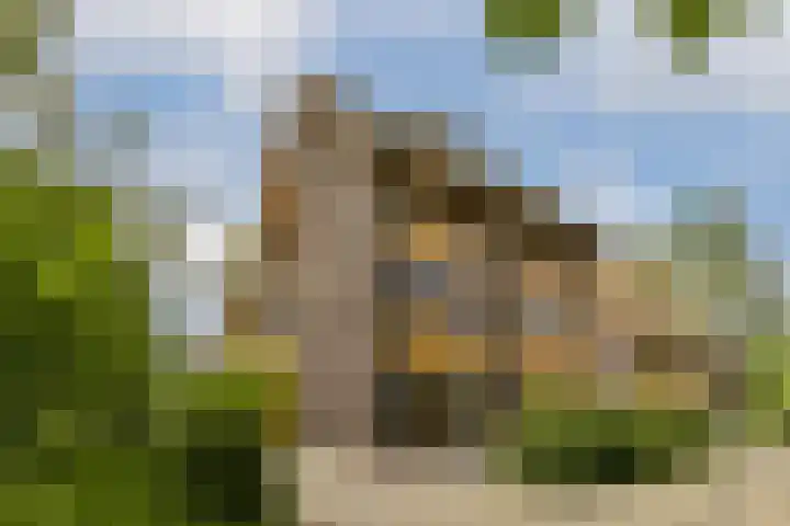 Noorderduinstraat 311 Almere thumbnail 39