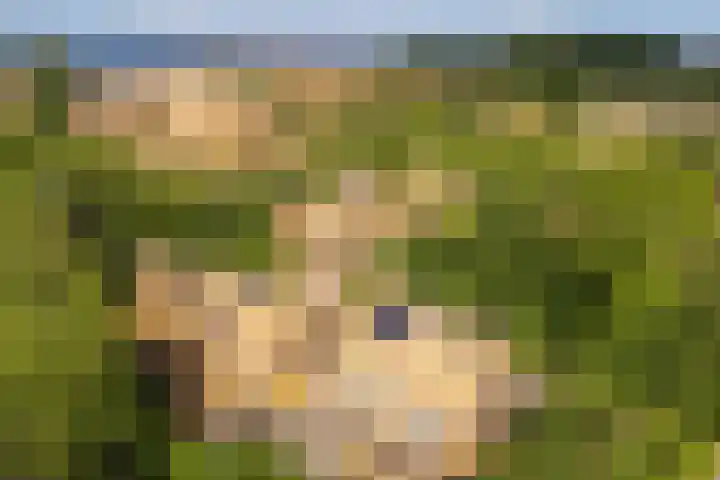 Noorderduinstraat 311 Almere thumbnail 41