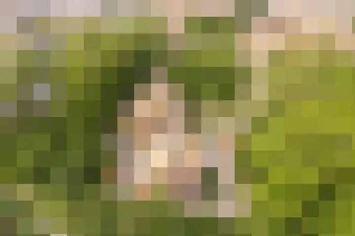 Noorderduinstraat 311 Almere thumbnail 43