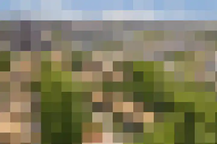 Noorderduinstraat 311 Almere thumbnail 44