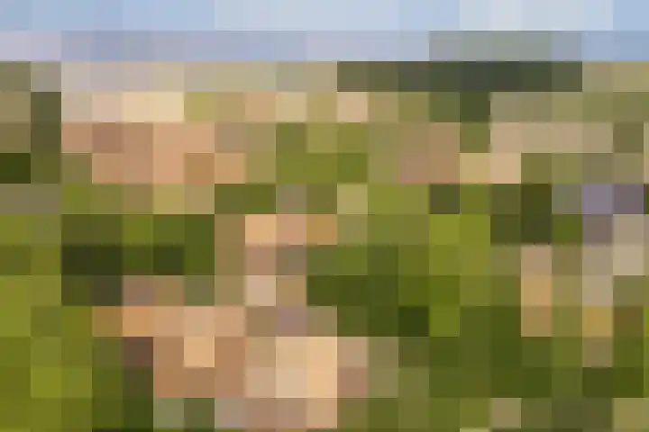 Noorderduinstraat 311 Almere thumbnail 45