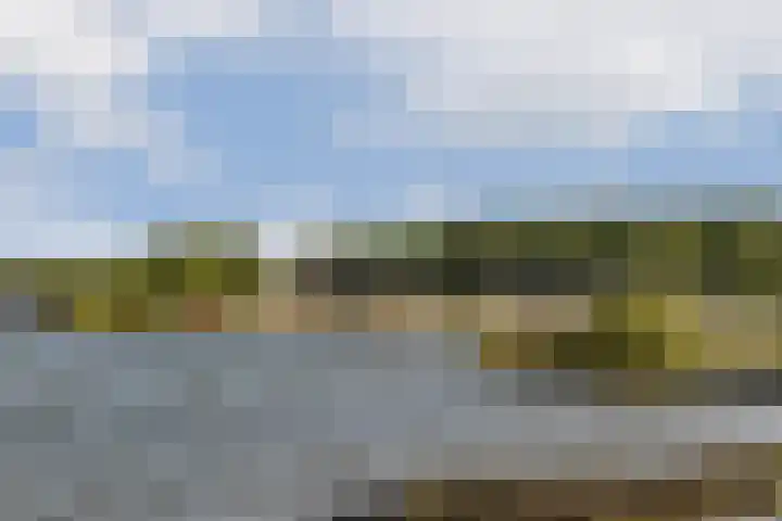 Noorderduinstraat 311 Almere thumbnail 50