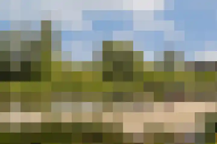 Noorderduinstraat 311 Almere thumbnail 51