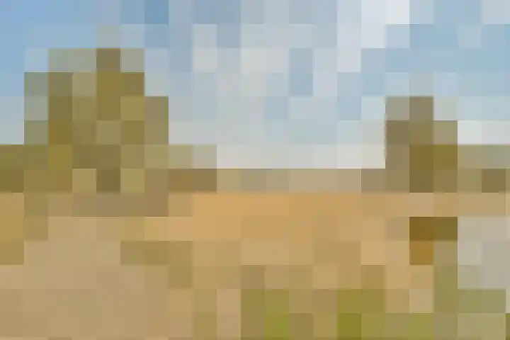 Noorderduinstraat 311 Almere thumbnail 54