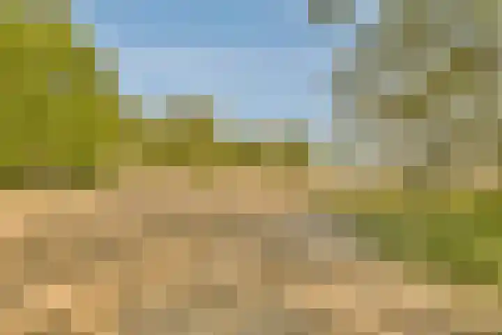 Noorderduinstraat 311 Almere thumbnail 55