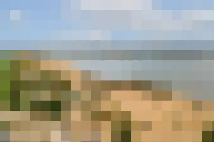 Noorderduinstraat 311 Almere thumbnail 57