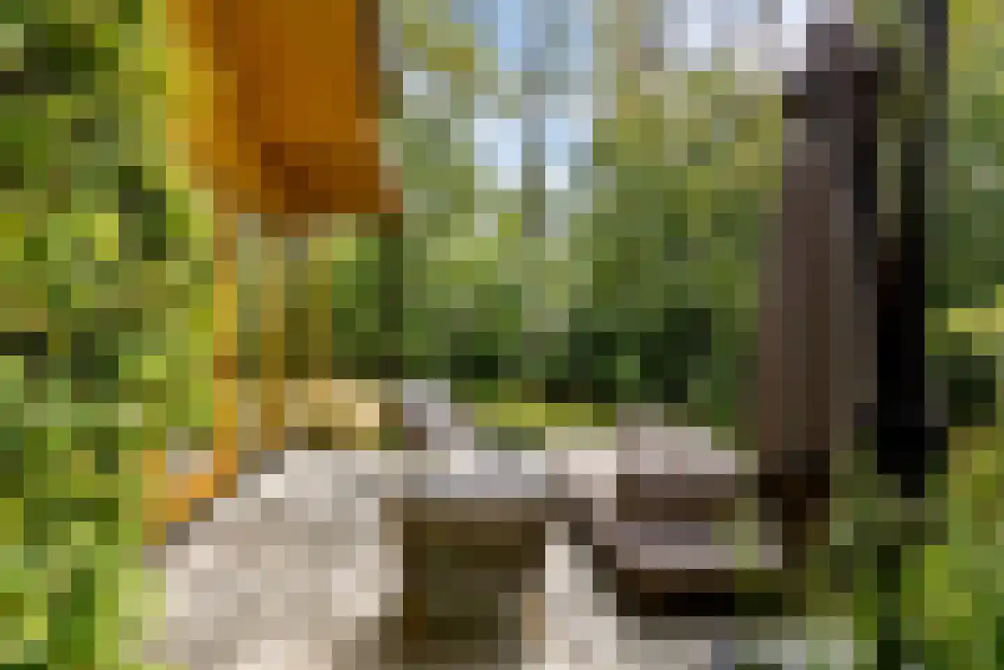 Noorderduinstraat 319 Almere thumbnail 18