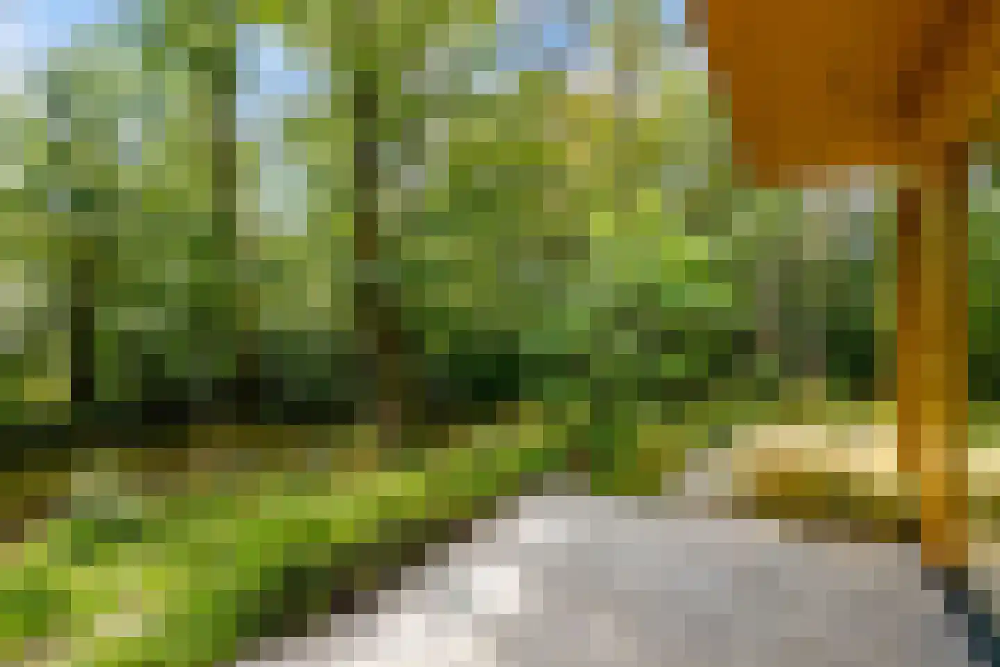 Noorderduinstraat 319 Almere thumbnail 20