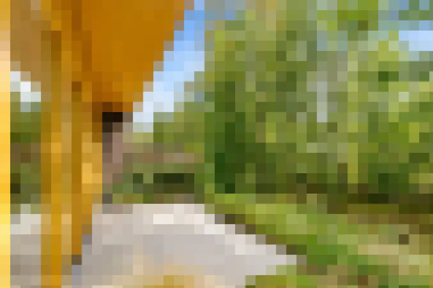 Noorderduinstraat 319 Almere thumbnail 21