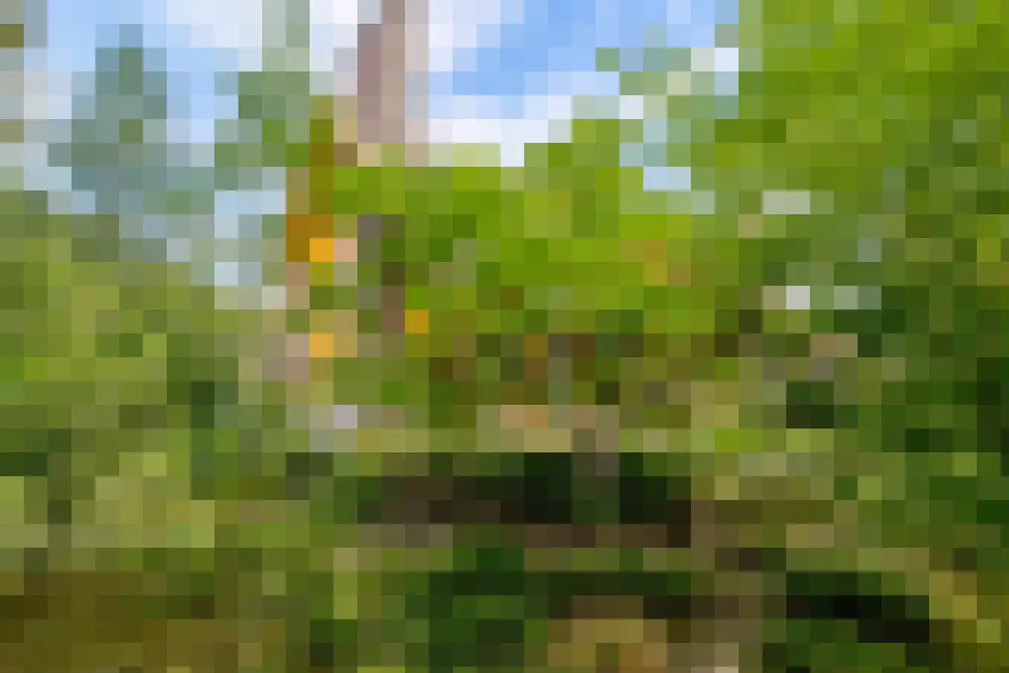 Noorderduinstraat 319 Almere thumbnail 23