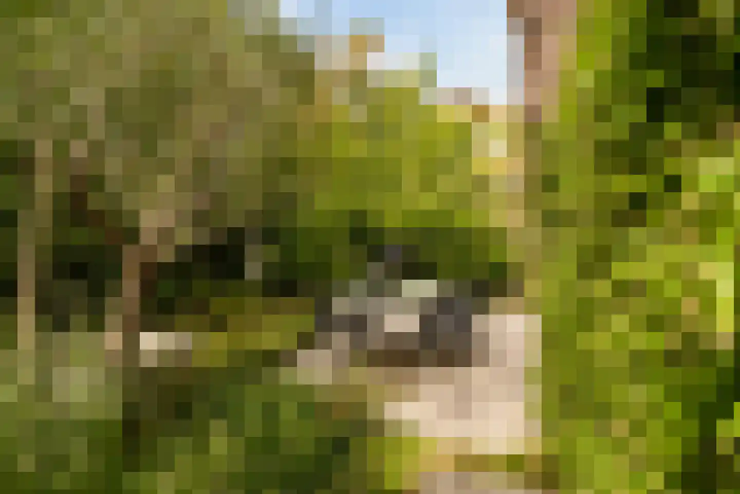 Noorderduinstraat 319 Almere thumbnail 24