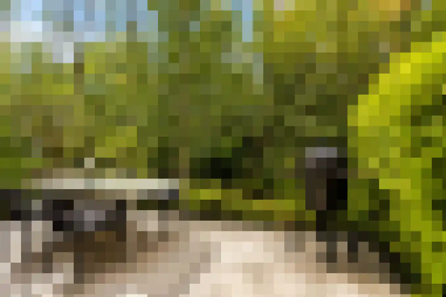 Noorderduinstraat 319 Almere thumbnail 25