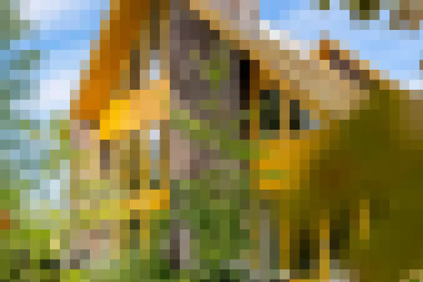 Noorderduinstraat 319 Almere thumbnail 28
