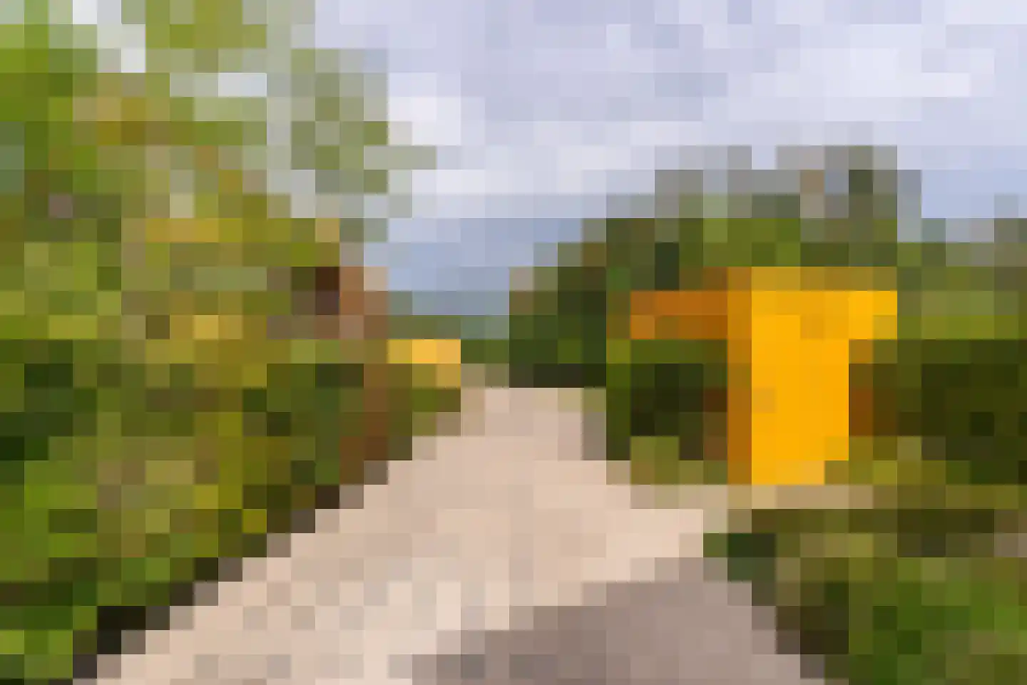 Noorderduinstraat 319 Almere thumbnail 51