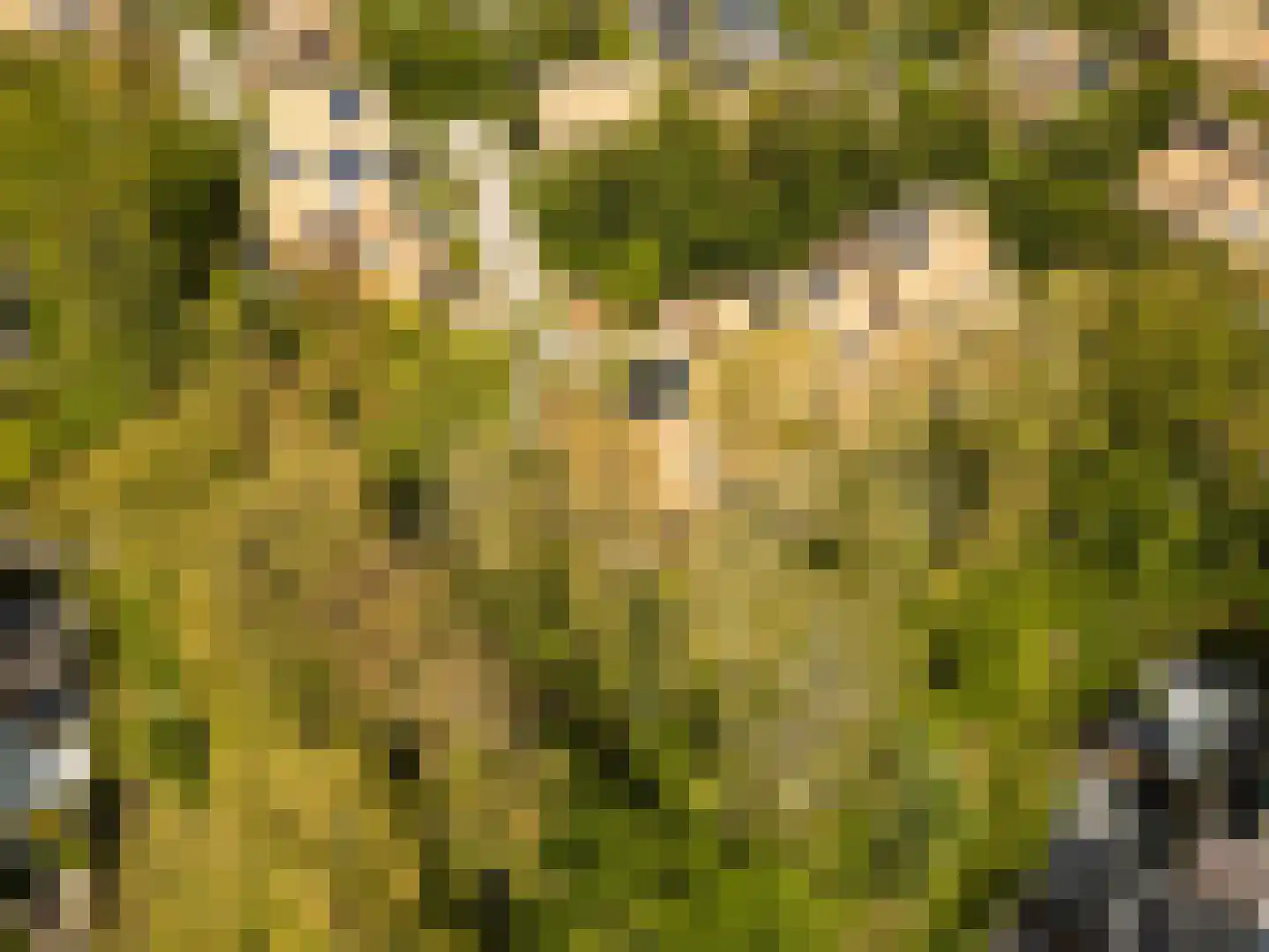 Noorderduinstraat 319 Almere thumbnail 59