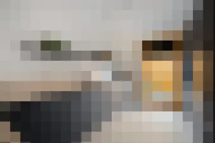 Noorderduinstraat 415 Almere thumbnail 19