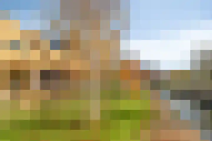 Noorderduinstraat 415 Almere thumbnail 26