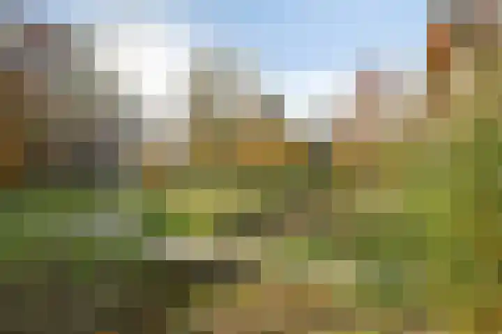 Noorderduinstraat 415 Almere thumbnail 54