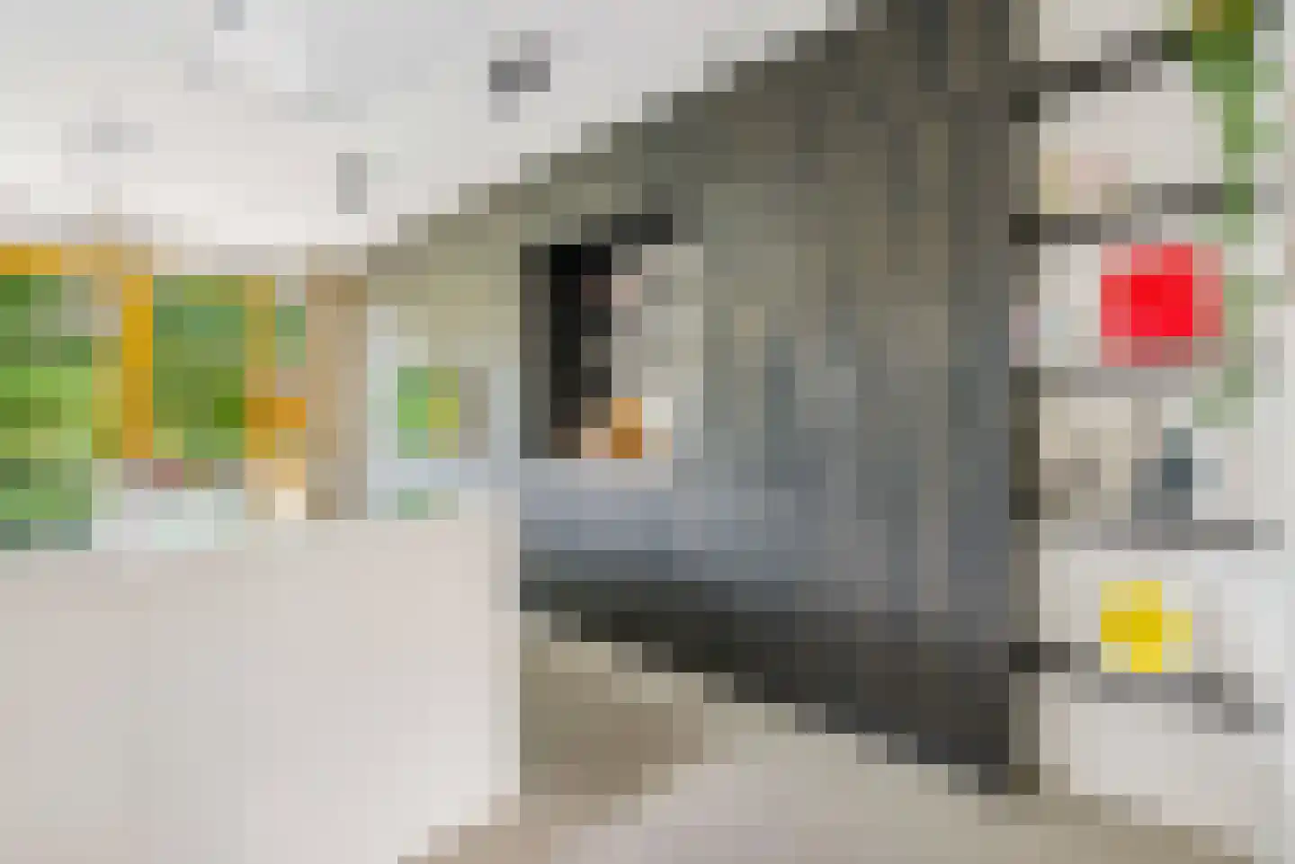 Noorderduinstraat 621 Almere thumbnail 13