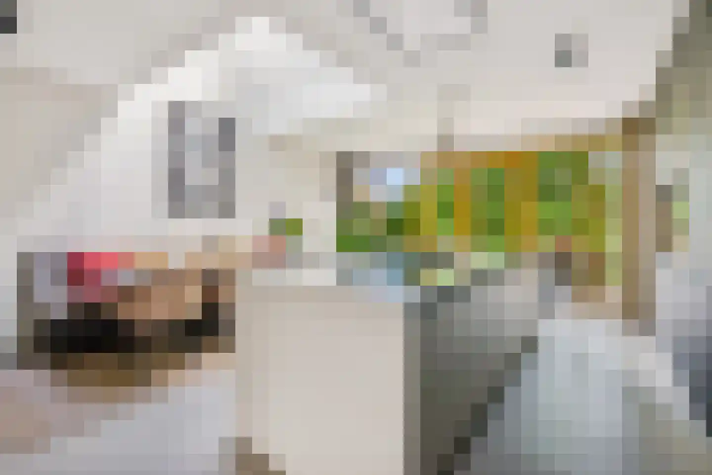 Noorderduinstraat 621 Almere thumbnail 16