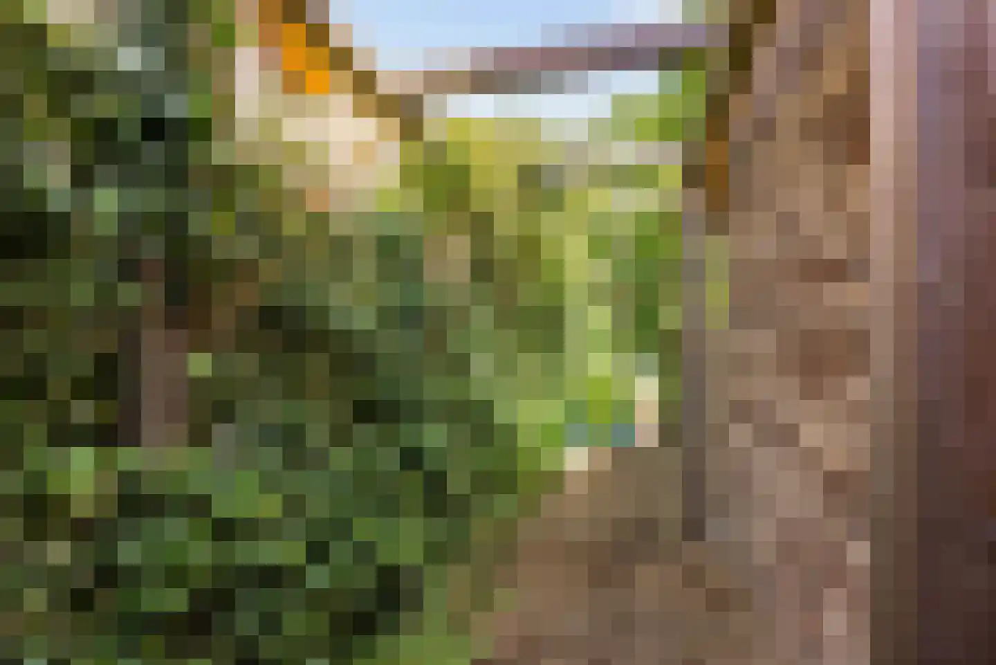 Noorderduinstraat 621 Almere thumbnail 27