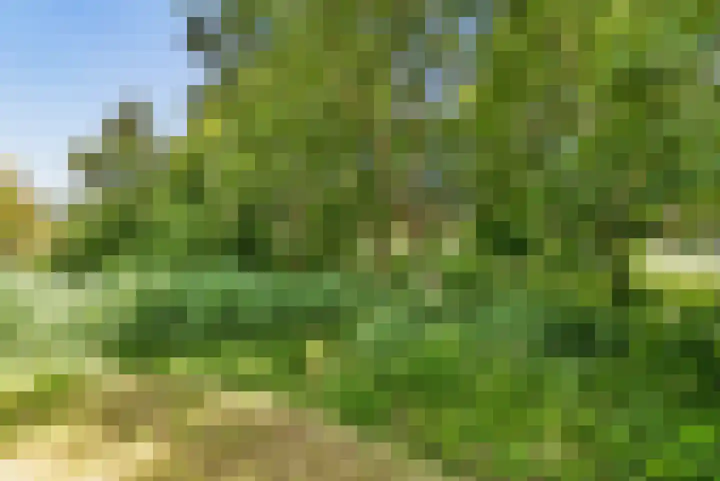 Noorderduinstraat 621 Almere thumbnail 33
