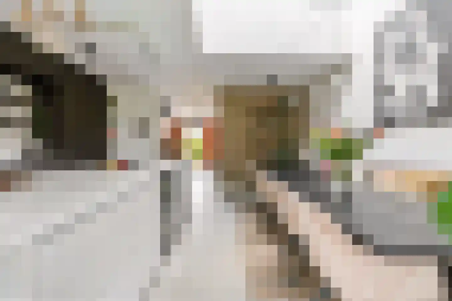 Noorderduinstraat 621 Almere thumbnail 38