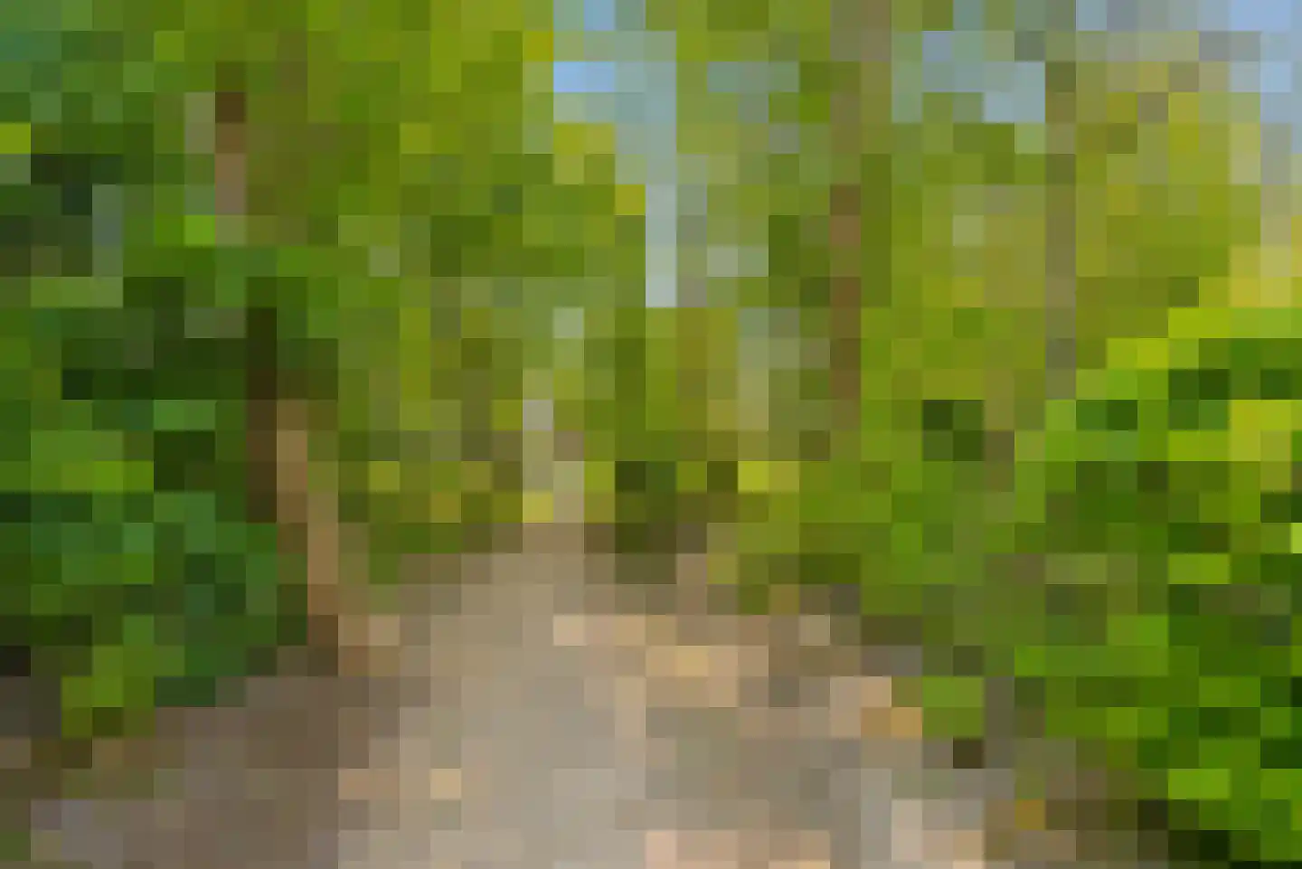 Noorderduinstraat 621 Almere thumbnail 95
