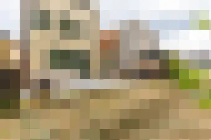 Noorderduinstraat 807 Almere thumbnail 18