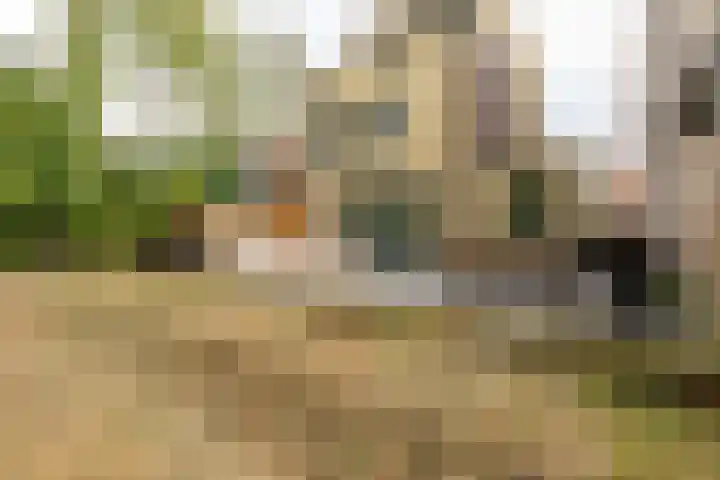 Noorderduinstraat 807 Almere thumbnail 19