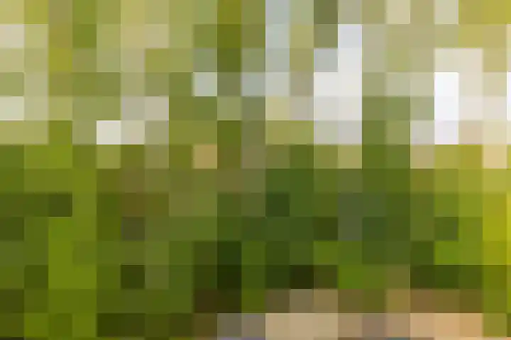 Noorderduinstraat 807 Almere thumbnail 51