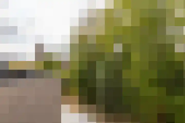 Noorderduinstraat 807 Almere thumbnail 52