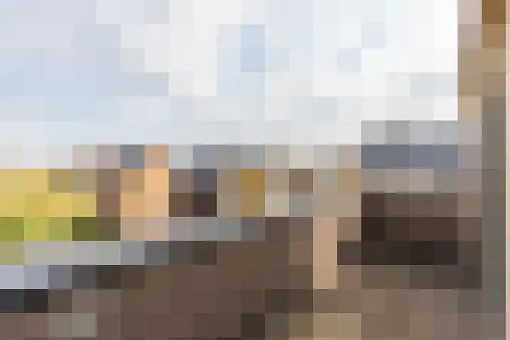 Noorderduinstraat 807 Almere thumbnail 53