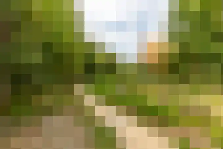 Noorderduinstraat 807 Almere thumbnail 54