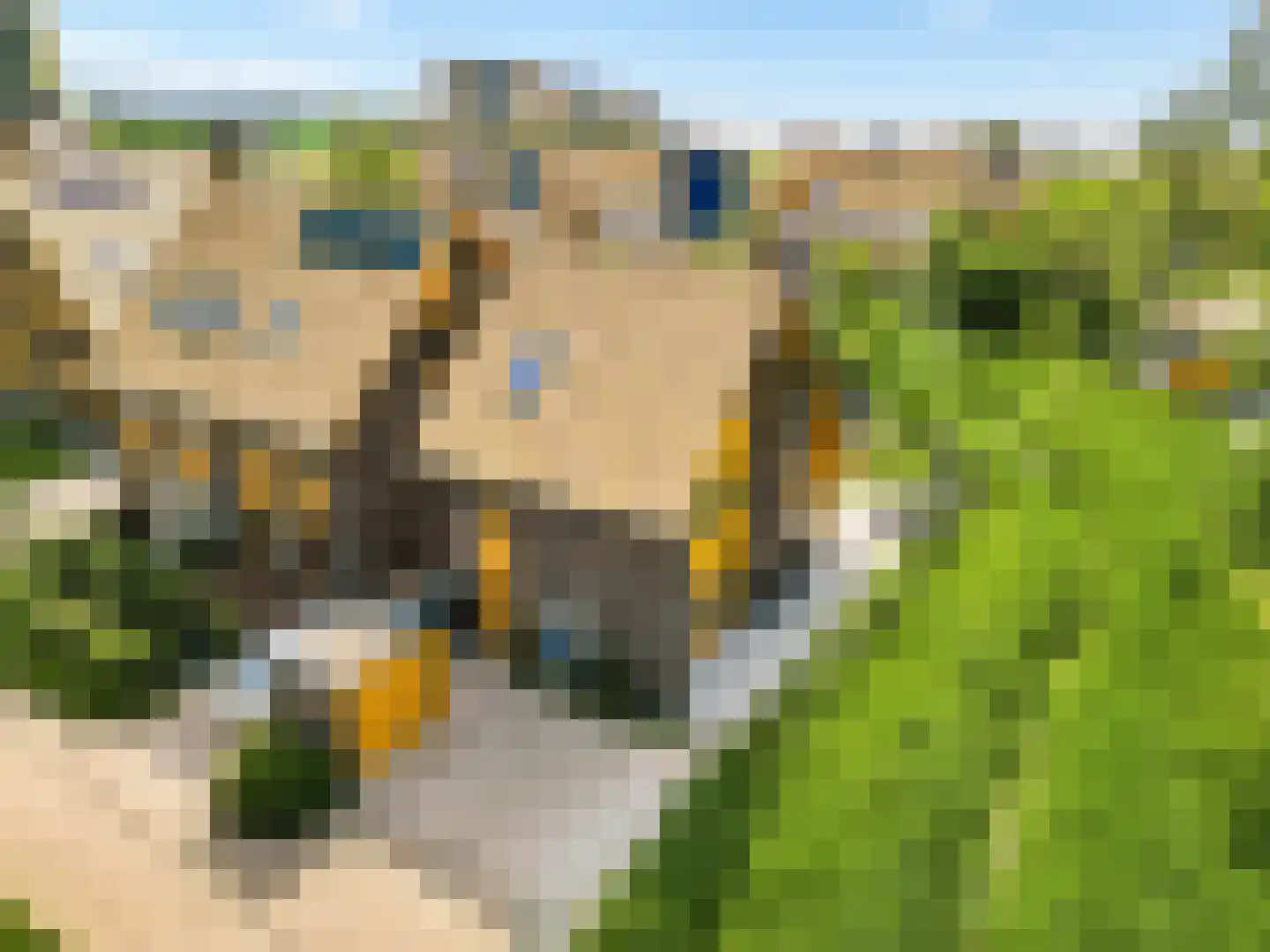 Noorderduinweide 13 Almere thumbnail 64
