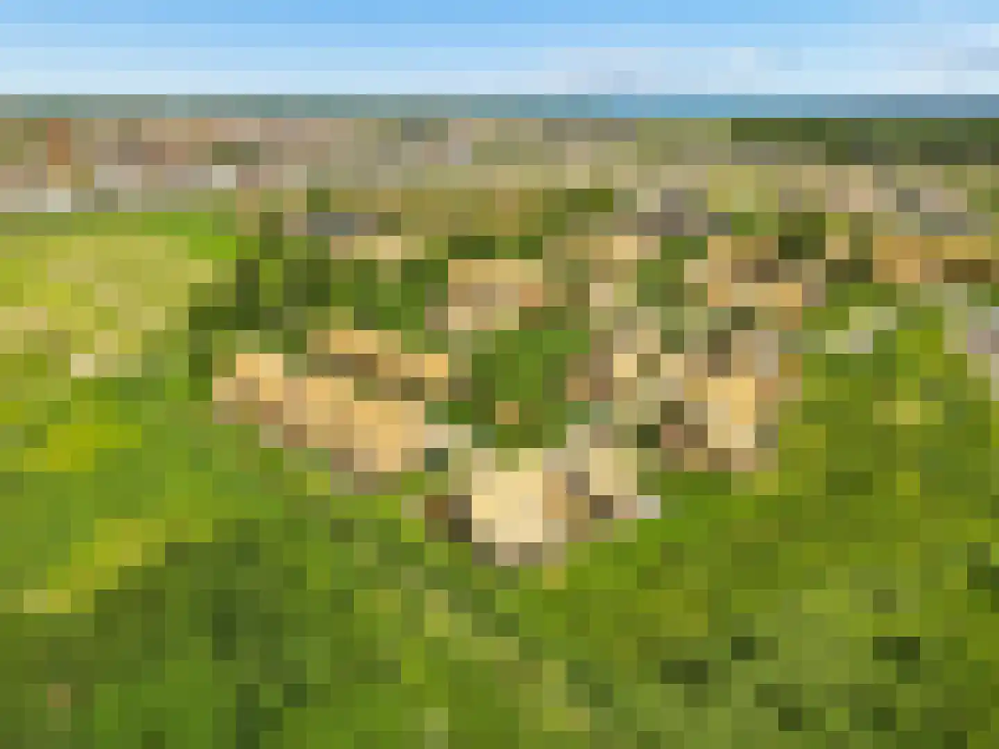 Noorderduinweide 13 Almere thumbnail 65