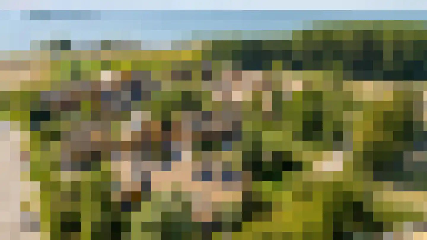 Noorderduinweide 8 Almere thumbnail 52