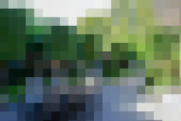 Noorderdwarsvaart 113 a Drachten thumbnail 4