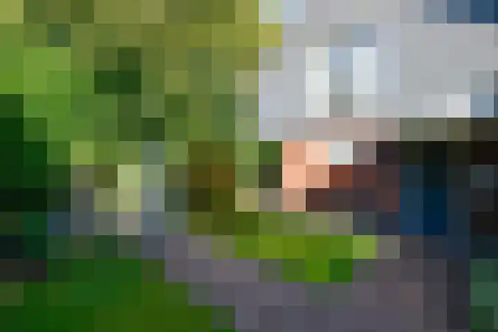 Noorderdwarsvaart 113 a Drachten thumbnail 51