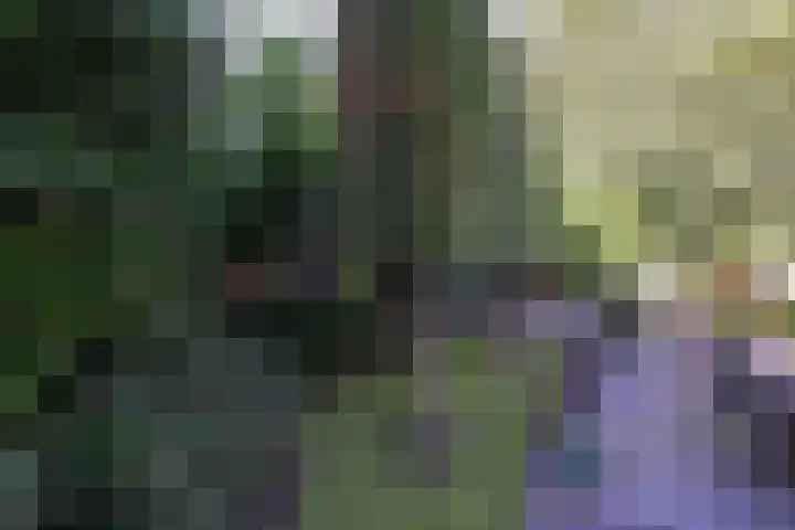 Noorderdwarsvaart 113 a Drachten thumbnail 53