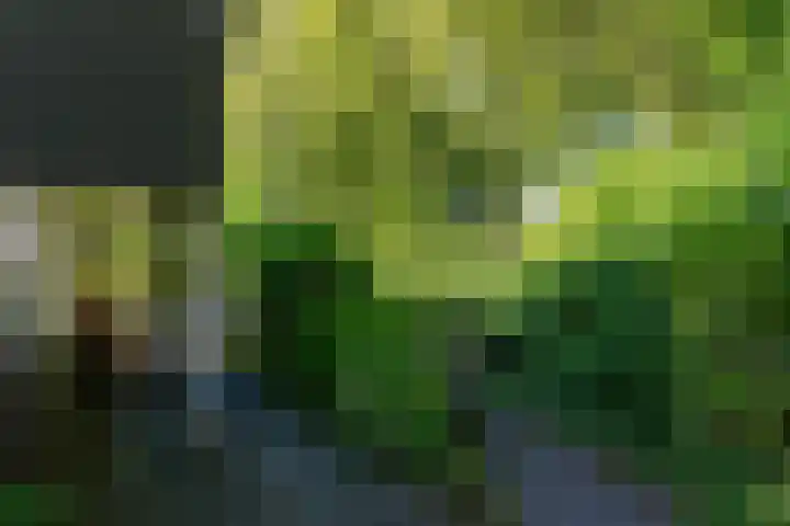 Noorderdwarsvaart 113 a Drachten thumbnail 54