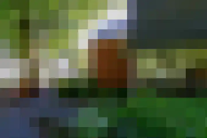 Noorderdwarsvaart 113 a Drachten thumbnail 56