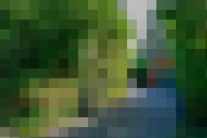 Noorderdwarsvaart 113 a Drachten thumbnail 60